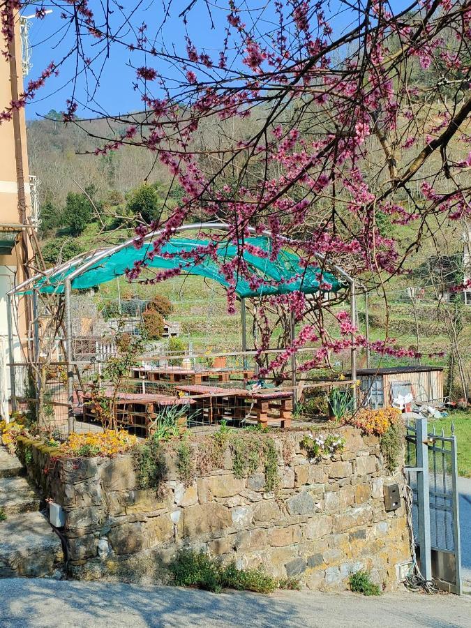 Ferienwohnung Ca Di Nonni Chiesanuova  Exterior foto